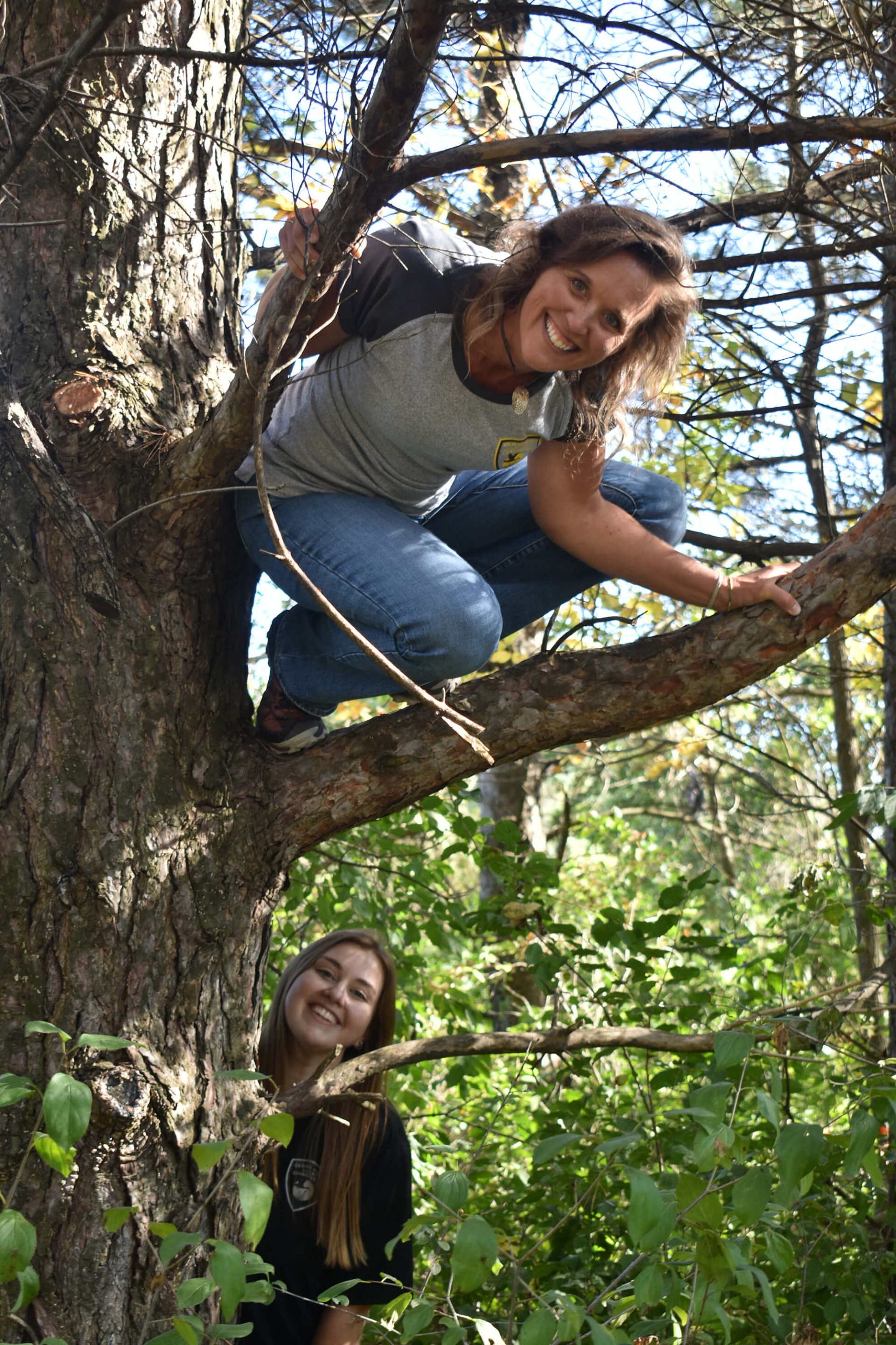 Lime Creek Nature Center's team members climbing in a tree.